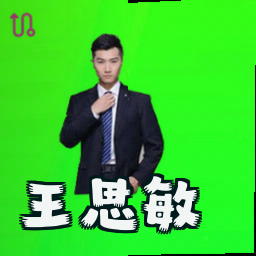 王思敏